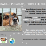 plakat-pomoc-dla-schroniska